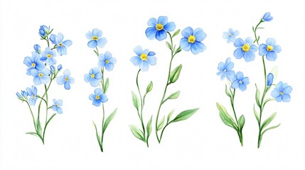 Stunning Set of Tender Forget Me Not Flowers on White Background