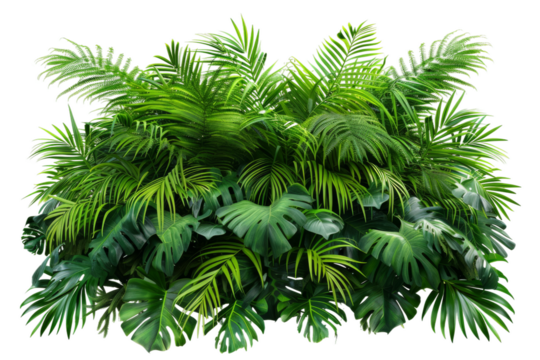 A dense bush of tropical leaves flourishes in a vibrant green setting, showcasing various leaf shapes and sizes under bright natural light