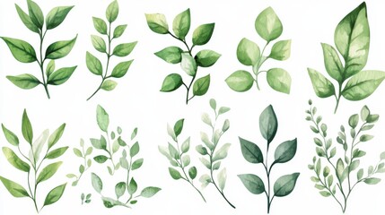 A collection of various green leaves illustrated in a watercolor style.