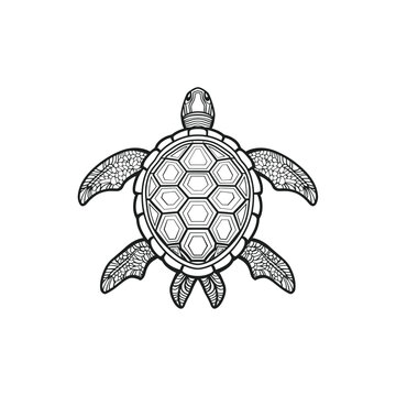 recommend clip art: Ornate Sea Turtle Line Art Illustration. Vector icon design.