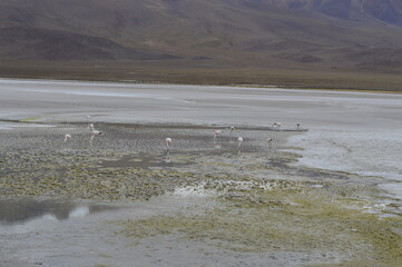 Início do período de seca