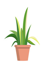 Houseplant flowerpot icon vector illustration. Decorative home plant