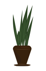 Indoor plant and flower in pot. Decor for the apartment and garden. Vector illustration hauseplant