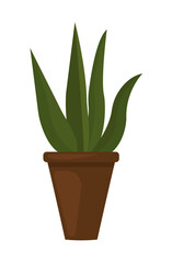 Urban jungle, trendy home decor with plant. Flat. houseplant Vector illustration.