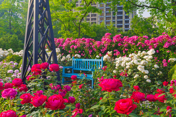 Spring scenery of Shahu Park in Wuhan