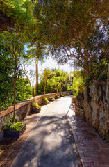 Path in a Garden with trees and flowers. Capri Island, Italy.