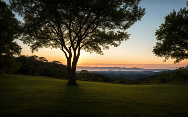 Tranquil Sunset Over Rolling Hills With Silhouette of a Tree in the Foreground