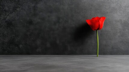 Vignette on textured background