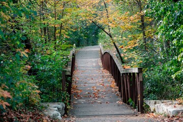 Fototapeta premium Serene wooden bridge surrounded by lush greenery and autumn foliage in a forest setting in daytime