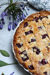 Freshly baked blueberry lattice pie on a table. Beautiful golden crust close up photo. Sweet homemade round cake. Light gray background with space for text. 