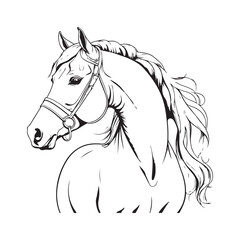 line art horse on white background. sketch style. Vector graphic icon animal.