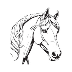 line art horse on white background. sketch style. Vector graphic icon animal.