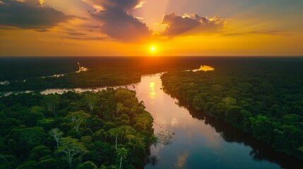Fototapeta premium Sunset over a winding river in the lush Amazon rainforest