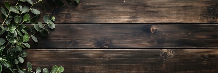 A minimalist arrangement of leafy greenery placed atop a rustic, wooden plank background, evoking nature and simplicity.