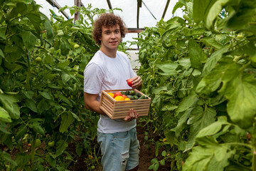 A man in a white T-shirt stands in a greenhouse and holds a wooden box with tomatoes and cucumbers