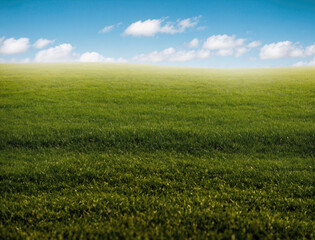 Obraz premium Expansive Green Field Under Bright Blue Sky With Fluffy White Clouds