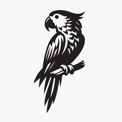 A striking vector illustration of a parrot perched majestically, its intricate plumage rendered in elegant black and white. 