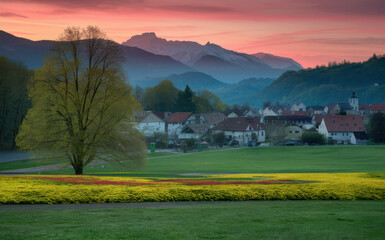 serene rural landscape at either sunrise or sunset. In the foreground, vibrant yellow flowers fill a field, with a large tree standing prominently on the left.