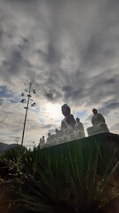  maior estátua de buda do ocidente em ibiraçu, espírito santo 