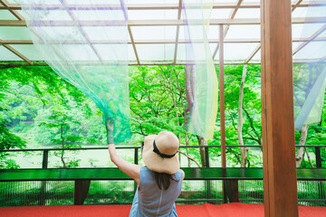 Obraz premium 嵐山祐斎亭の美しい庭園