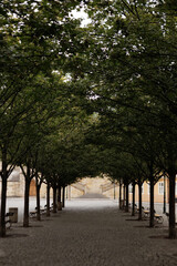 A tranquil path shaded by trees Kampa, Prague, Czech republic