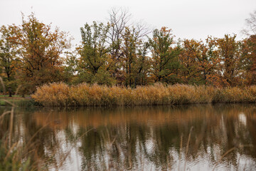 Obraz premium Colorful autumn foliage mirrors in still water in Stromovka park, Prague, Czech republic
