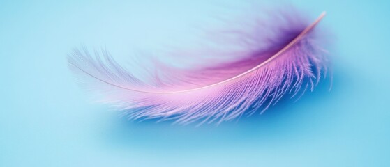 Obraz premium Delicate Pink Feather on a Light Blue Background