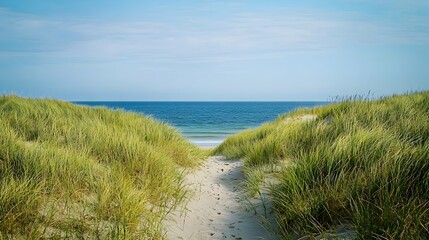 Tranquil Grass-Covered Dunes Overlooking Peaceful Ocean Horizon