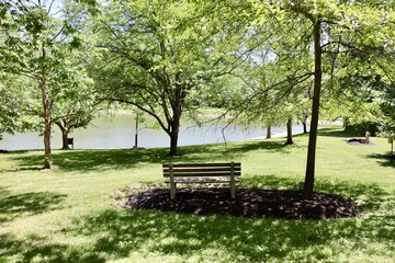 The wood park bench in the park.