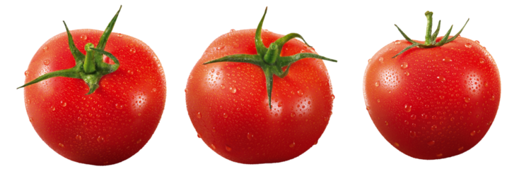 tomates vermelhos maduros isolado em fundo transparente