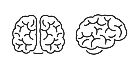 Brain icons on the front and side, clear lines, outline style, for scientific and medical themes.