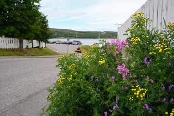 Fototapety na wymiar - Fototapeta24.pl