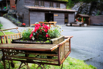 Fototapety na wymiar - Fototapeta24.pl