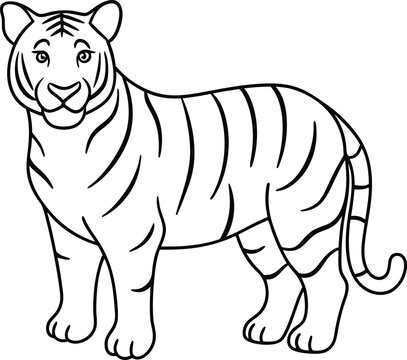 recommend clip art: Tiger animal outline vector art, Tiger silhouette, Tiger coloring sketch for kids.