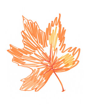 recommend clip art: Autumn orange maple leaf, hand-drawn with a felt-tip pen on a white background. Autumn leaf with felt-tip pen in doodle style, isolated element