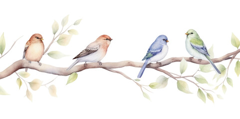 Obraz premium PNG Colorful birds on tree branch