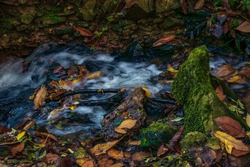waterfall in autumn forest
