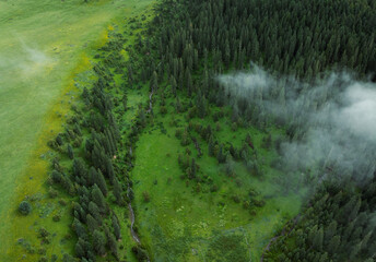 Aerial view of beautiful high altitude forest grassland mountain landscape