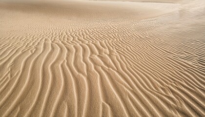 Obraz premium Sand texture background on the beach. Pattern of texture of sand is light beige , generative IA