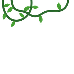 Jungle frames. Green vine. Tree foliage. Rainforest liana. Cartoon plants. Creeper branch. Grass and wood leaf signs.