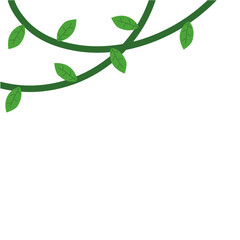 Jungle frames. Green vine. Tree foliage. Rainforest liana. Cartoon plants. Creeper branch. Grass and wood leaf signs.