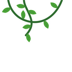 Jungle frames. Green vine. Tree foliage. Rainforest liana. Cartoon plants. Creeper branch. Grass and wood leaf signs.