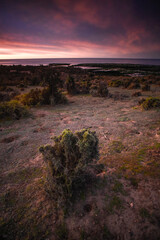 Obraz premium Coastal landscape in Peninsula Valdes at dusk, World Heritage Site, Patagonia Argentina