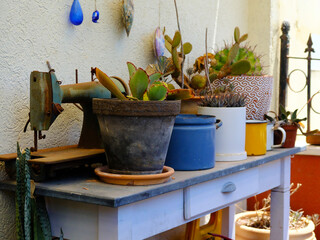 Vintage sewing machine and colorful pots with succulent plants on a rustic table, capturing a cozy,...