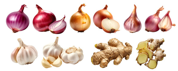 Collection of vegetable aromatics flavouring herb, red purple yellow onion, ginger, garlic, shallot on transparent background cutout, PNG file. Mockup template for artwork design