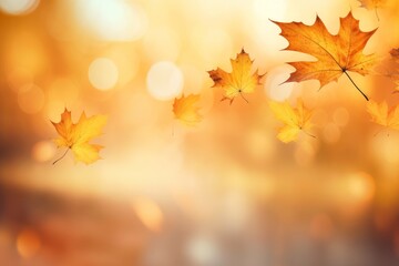 Yellow and red maple leaves in the autumn park. Natural blurred background. 