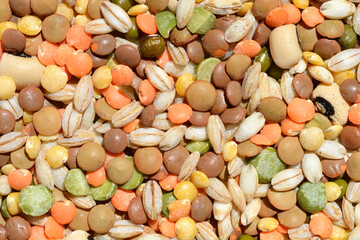 A surface covered with dry, uncooked grains and legumes - beans, red lentils, green lentils, brown lentils, barley, mung beans and peas