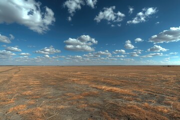 Expansive, Dry Field Under a Blue Sky with White Clouds