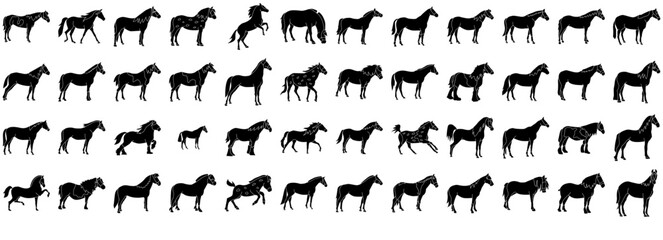 Mega Set Of Vector Horses Icons Silhouette Vector Logo Design Containing Pony,Horse,Horse-Riding,Riding,Equestrian Infographic Simple Vector Illustration Logo