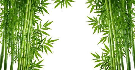 Naklejka premium Lush green bamboo stalks and leaves create a natural frame on a clean white background. This versatile image evokes feelings of tranquility and zen, with ample space for text or design elements. Idea